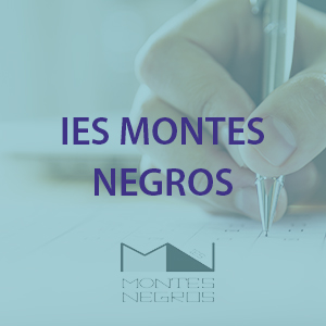 IES Montes Negros
